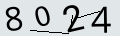 verifycode